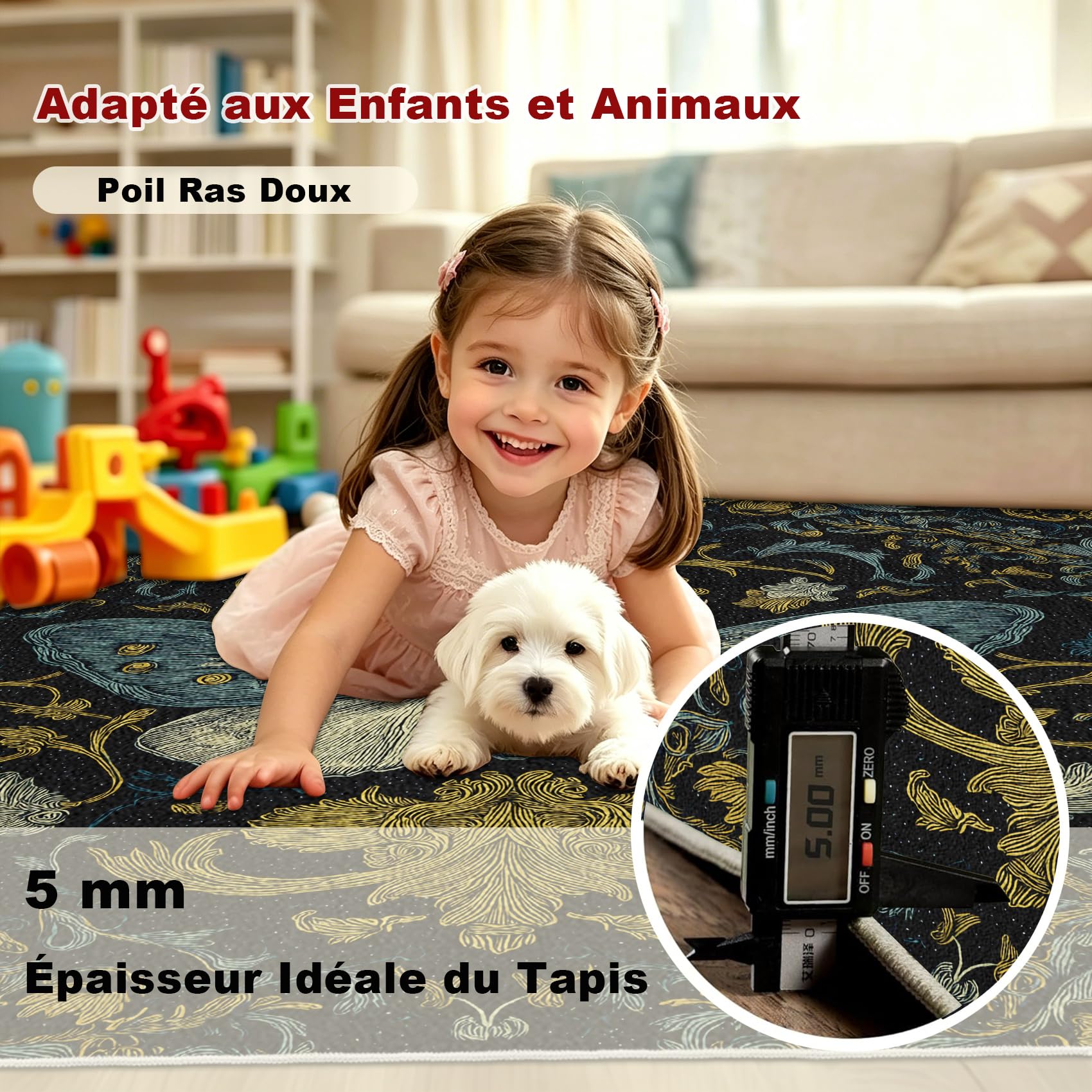 Générique Tapis Salon 120x160 Motif Papillon Bohème Tapis Chambre