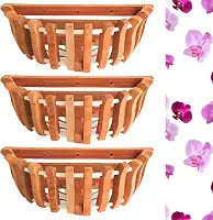 3 vasos de parede de orquídeas de madeira, cestas de orquídeas para montagem na parede, cestas de vanda, cestas de orquídeas para atividades ao ar livre