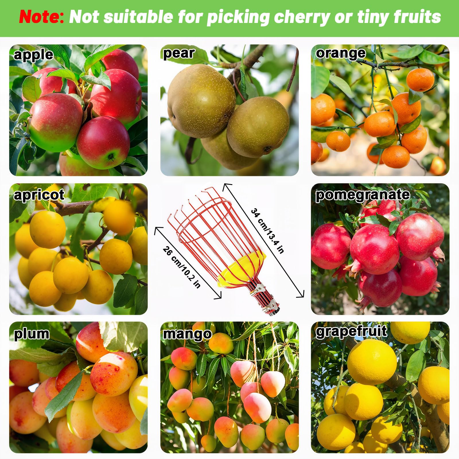seOSTO Recoge Frutas Telescopico 4.2m, Palo Extensible Acero Inoxidable, Cesta de Alambre con Espuma Protectora, Recogedor para Manzanas, Naranjas, Cítricos, Recoger Frutas de Árboles Altos