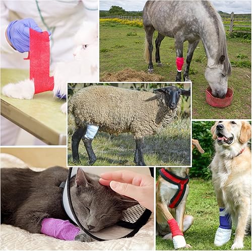 Miniatura 6 de 12244872 vendajes autoadhesivos, 1234 pulgadas, 5 yardas, multicolorcolor de piel (4 pulgadas, paquete de 12 multicolor)