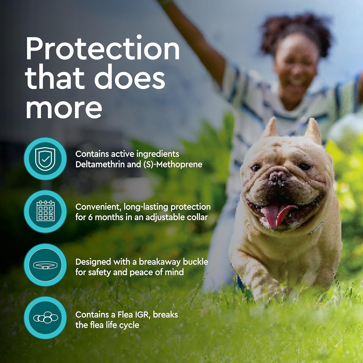 Provecta® PRO Flea & Tick Collar for Dogs