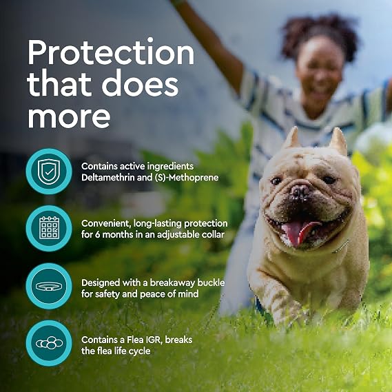 Provecta PRO Flea & Tick Collar for Dogs