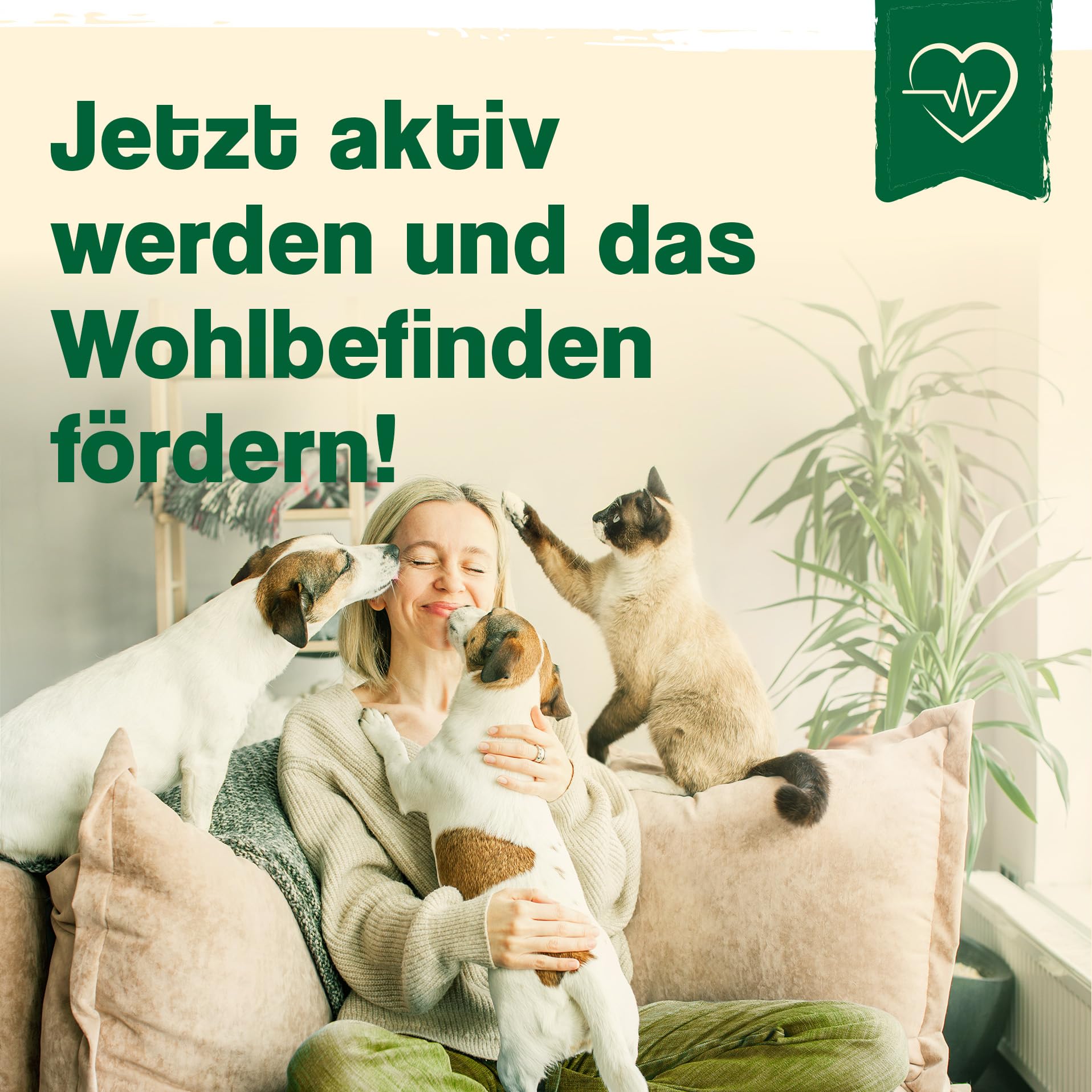 Ida Plus - 100% polvo de mejillón verde para gatos -100 g - mejillón de labios verde para apoyar la función articular - Grasa completa - Sin aditivos - con glicosamaminoglicanos omega 3