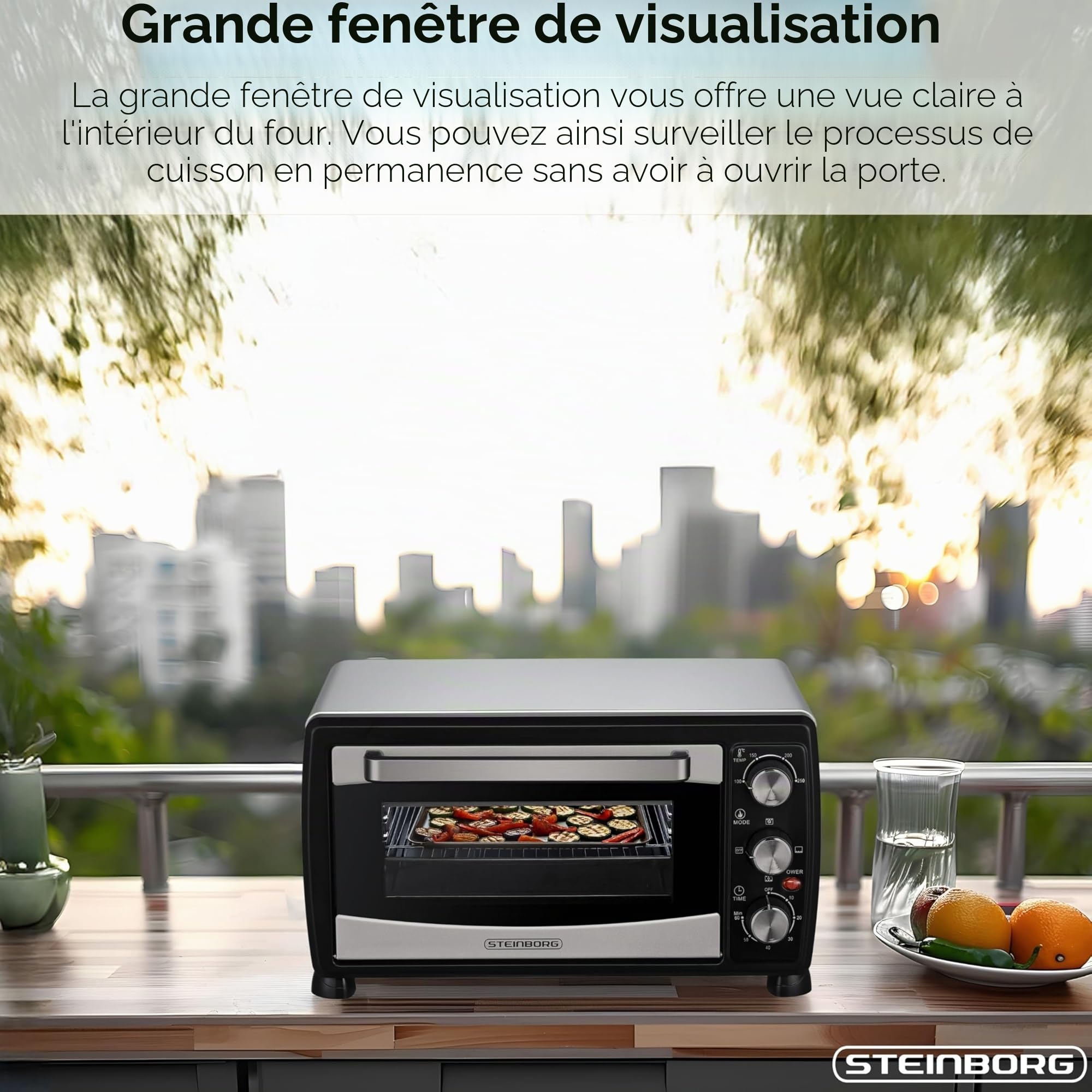 Steinborg Mini four à chaleur tournante, 20 l, plaque ramasse-miettes, fonction chaleur de voûte et de sole, 1400 W, mini four avec minuterie, petit four pour camping ou maison, autoportant