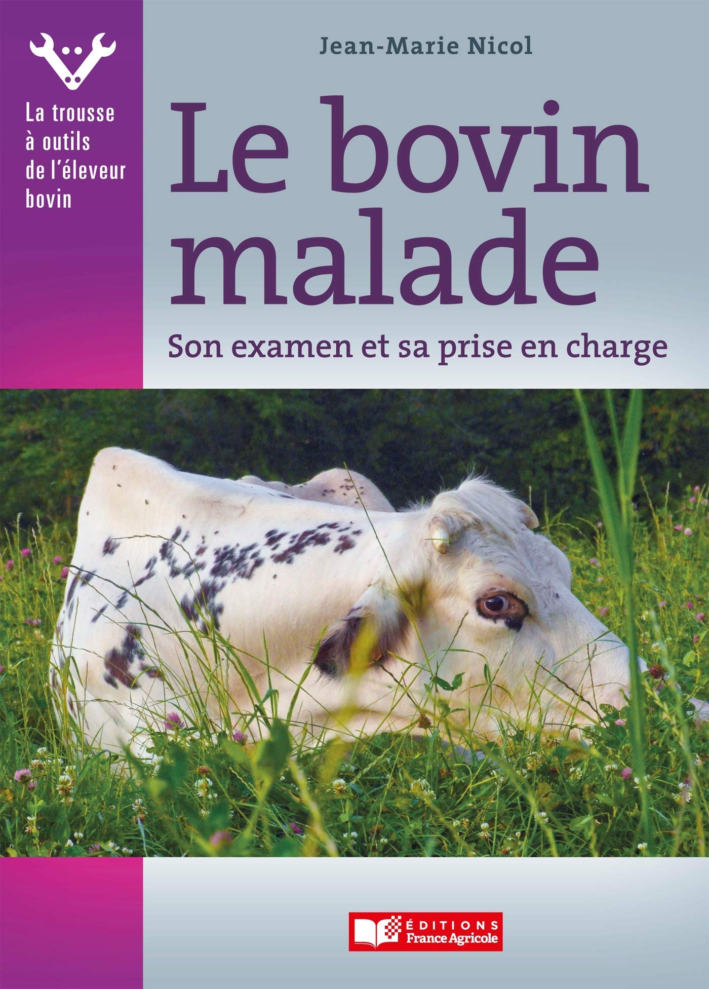Le Bovin malade: Son examen et sa prise en charge