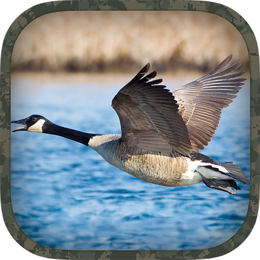 Goose Hunting Calls App on Amazon Appstore