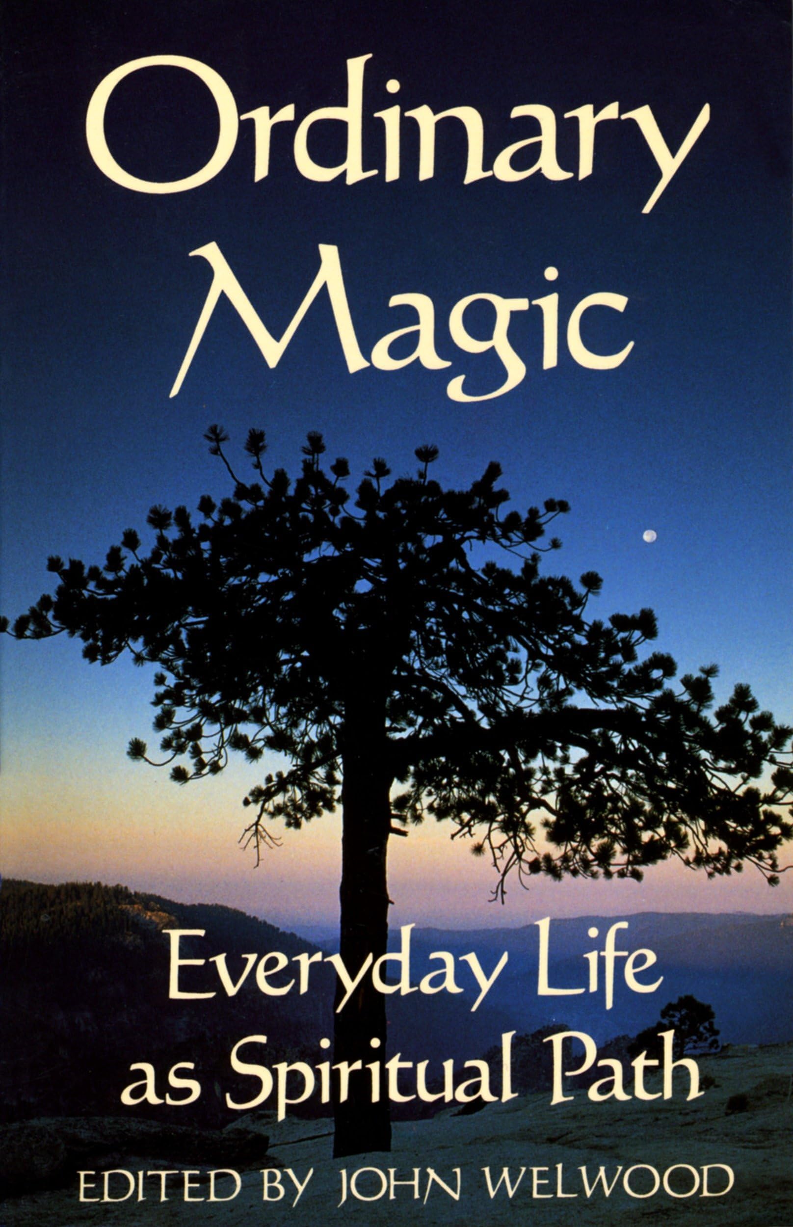 Ordinary Magic: Everyday Life as Spiritual Path Paperback – September 15, 1992