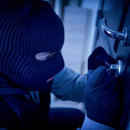 Thief Simulator 3D: Burglar House Robber - Sneak Robbery Games 3D