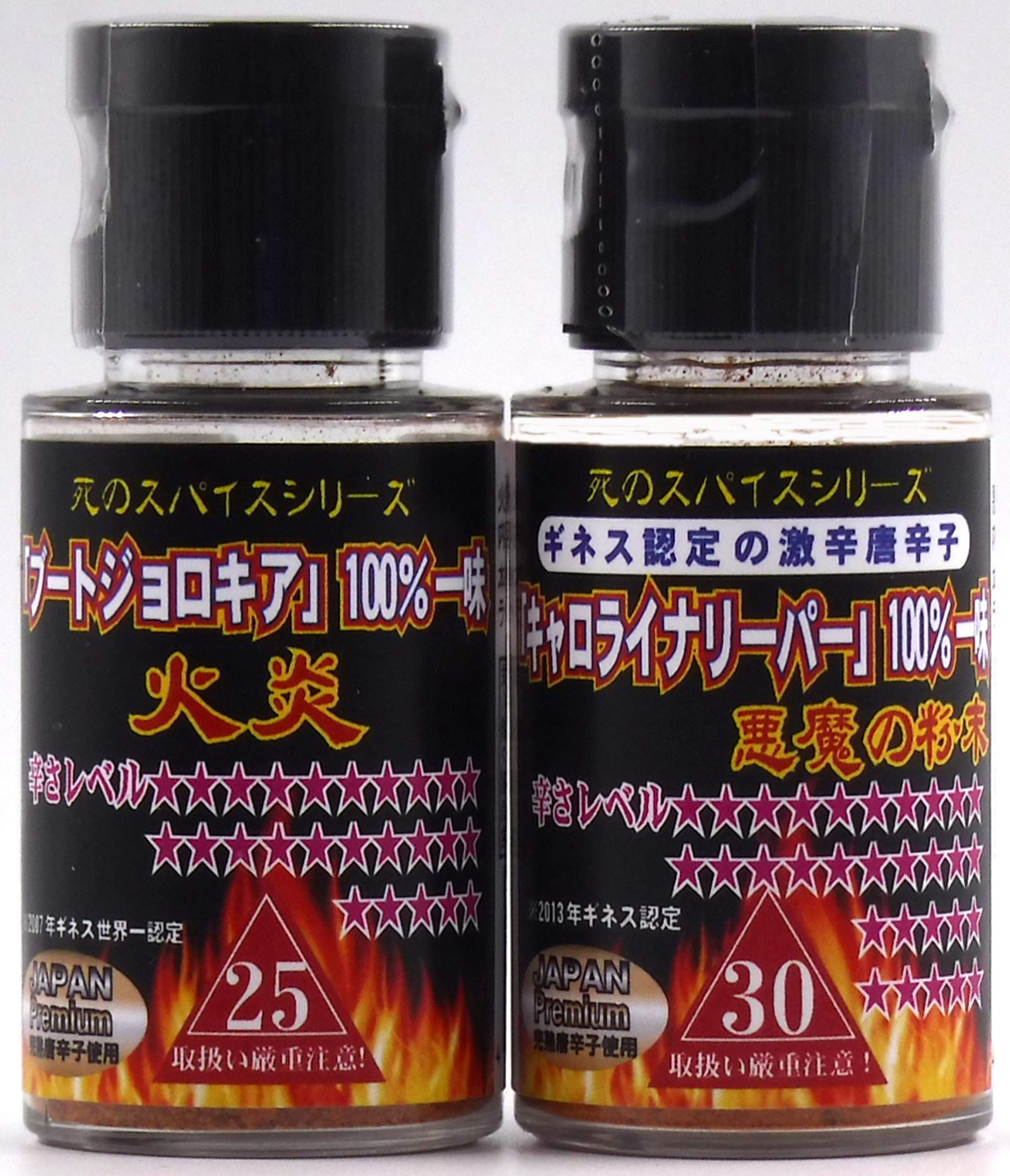 活動歴および当時の関連ビジュアル記録
