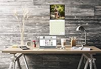 Vista 649 de Razas de Perros 2017