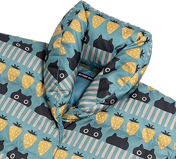 81Z5tKFd27L._AC_UF350,