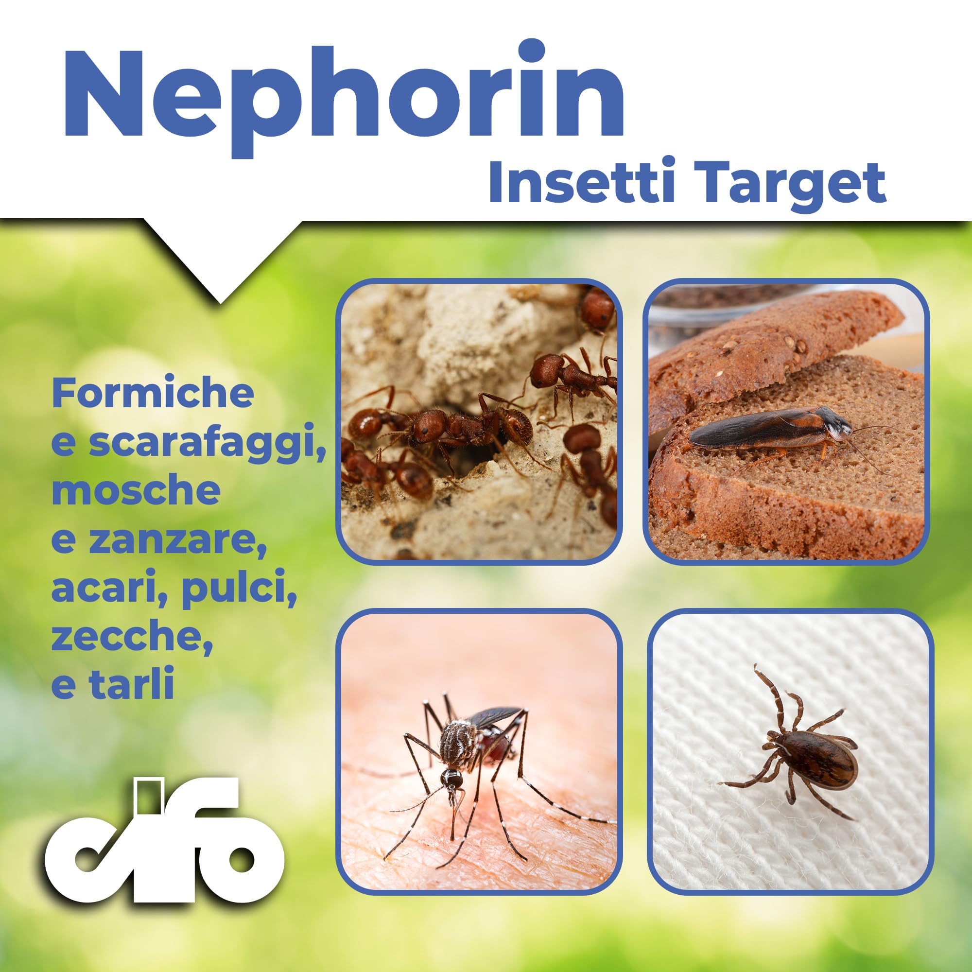 CIFO Nephorin Insetticida Formiche Scarafaggi Ragni Vespe Triplice Azione 500ml