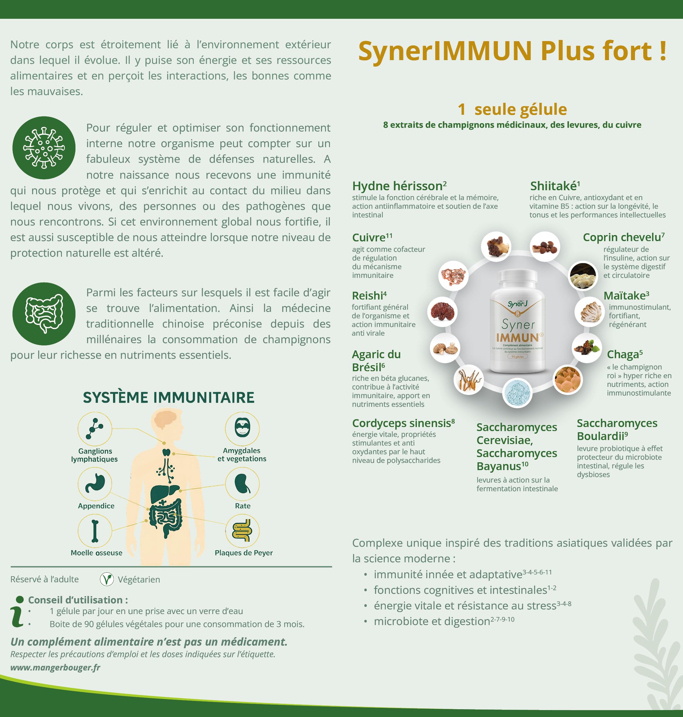 SynerIMMUN | Complexe 8 champignons + levures probiotiques + cuivre pour défenses naturelles, équilibre intestinal & vitalité | SynerJ Health (90 gélules)