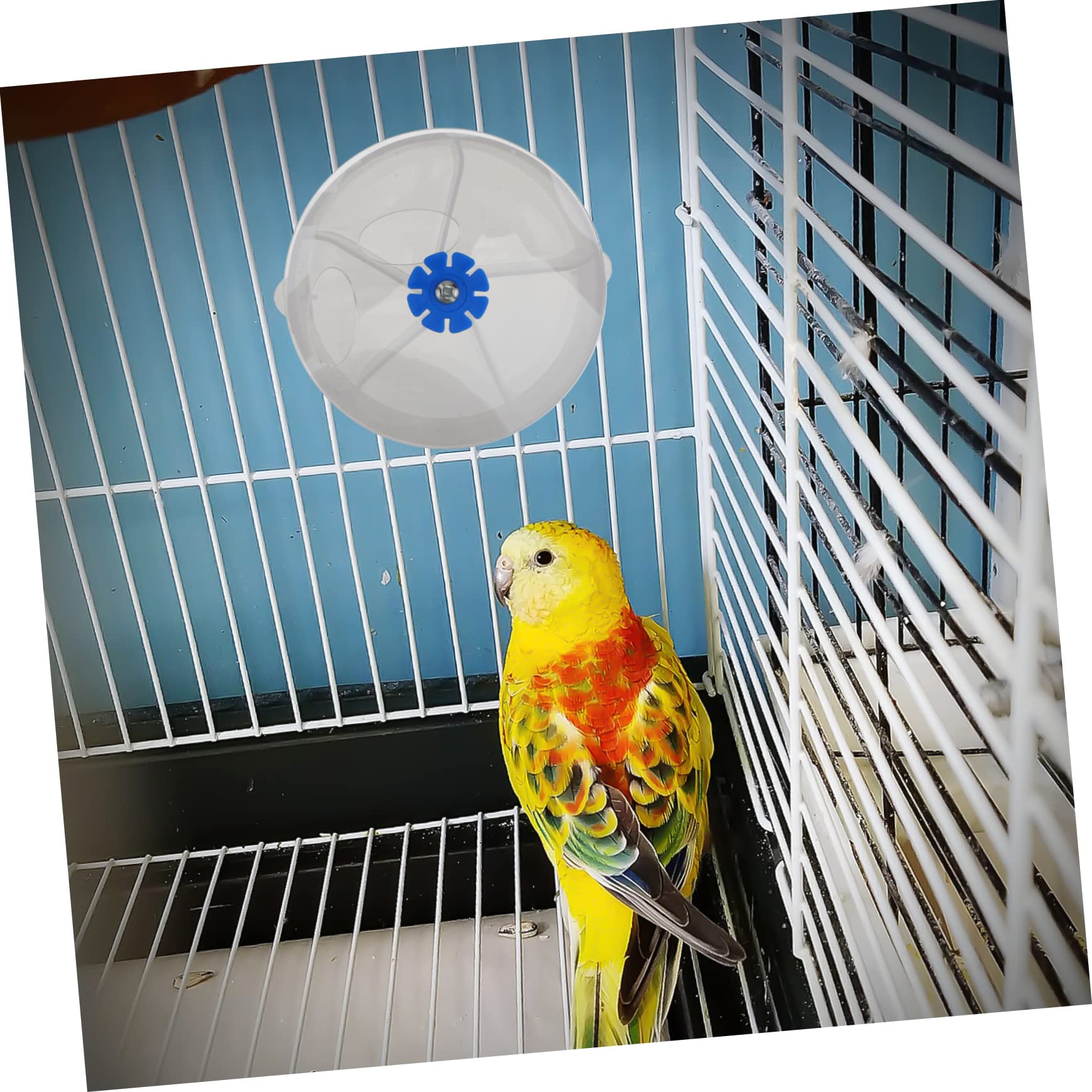 Milisten Acrylic Parrot Foraging Box Compartment Feeding Container for Birds Interactive Puzzle Toy for Macaw Cockatiel Conure Fun and Engaging Treat Dispenser - image 5