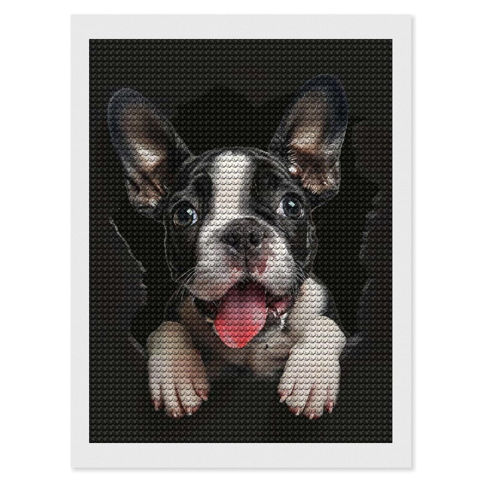 Junmoney Boston Terrier Diamond Art Canvas 12"x16", for Family Craft Time, Creative Leisure Activity, Living Room Decor, Festive Craft Gift