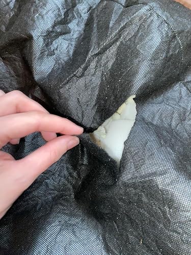 Review Image by Heidiwilson1221