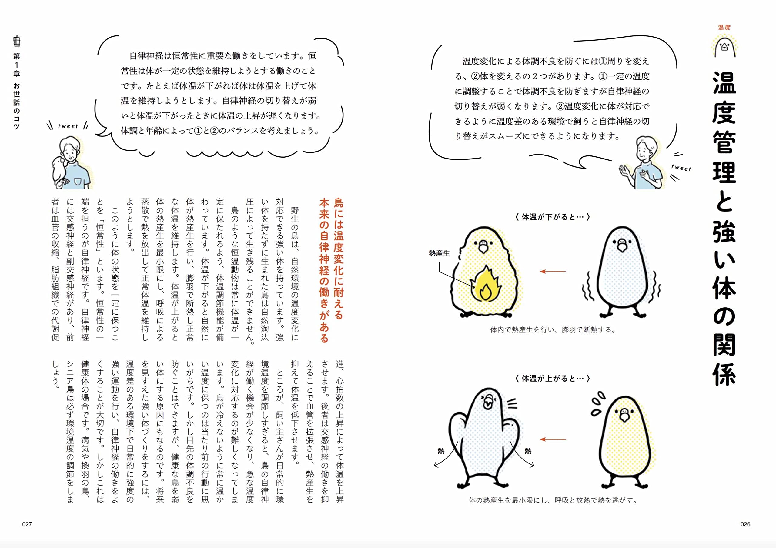 鳥のお医者さんのためになるつぶやき集 海老沢 和荘 本 通販 Amazon 鳥のお医者さんのためになるつぶやき集 海老沢 和荘 本 通販 Amazon