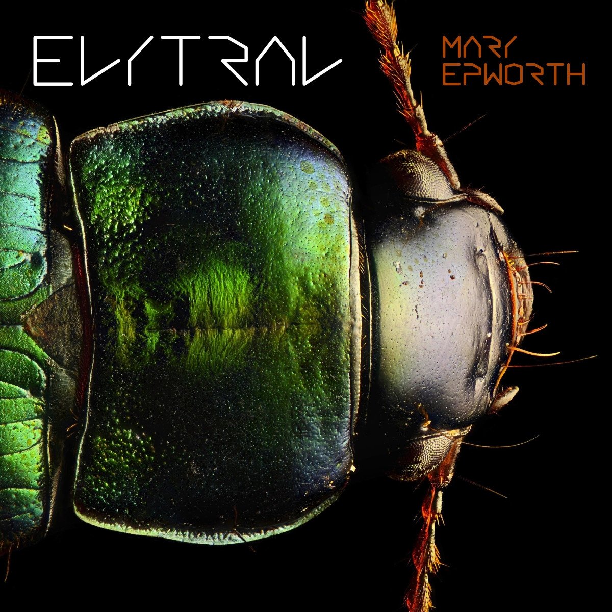 Mary Epworth Elytral LP vinyl UK Sunday Best 2017 limited edition neon orange