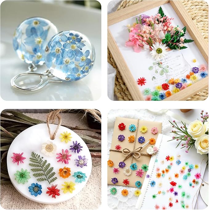 350 piezas flores mini secas para manualidades resina miniatura 7