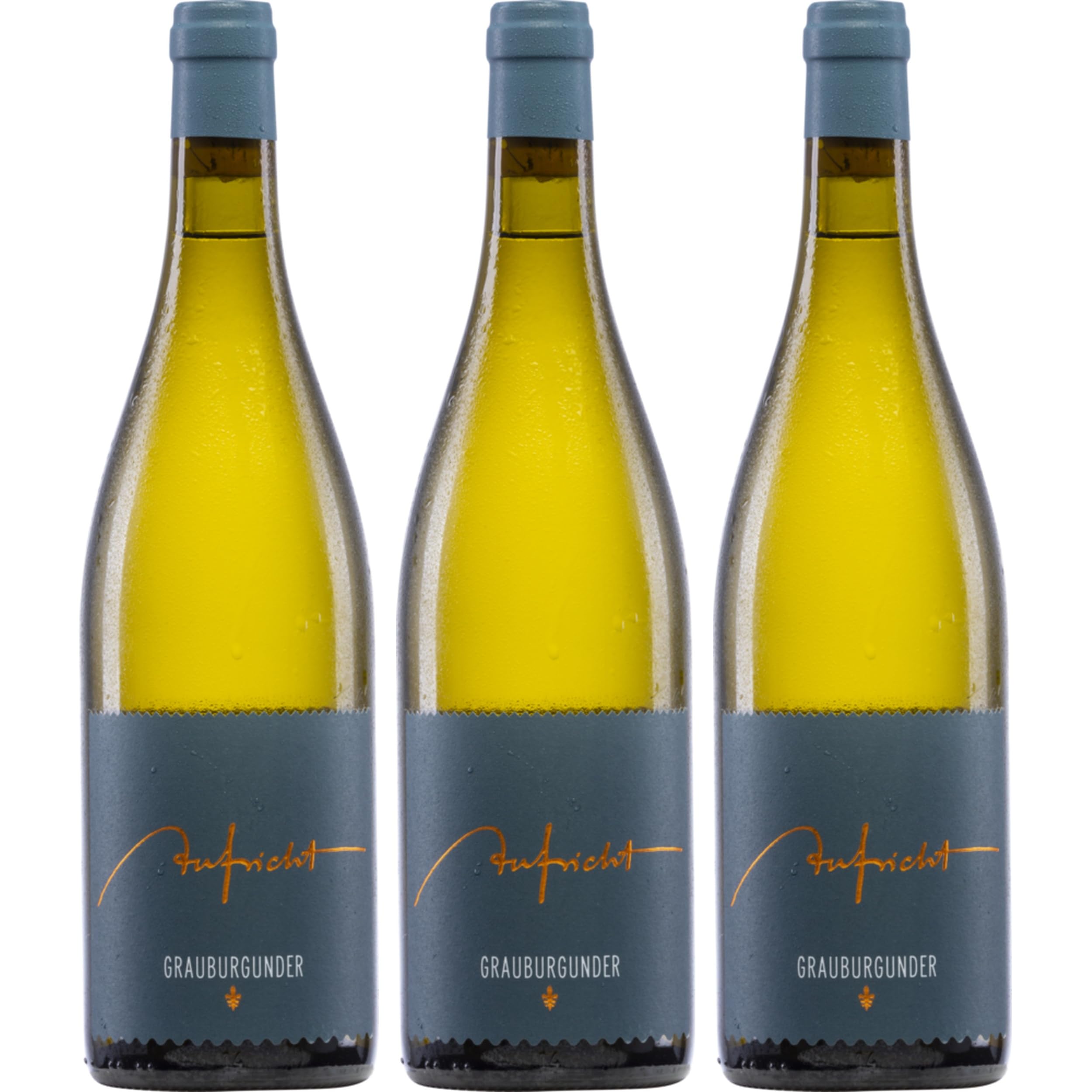 Weingut Aufricht Grauburgunder Von Alten Reben Weisswein Weiss Trocken Deutschland inkl. FeinWert E-Book (3 x 0.75 l)