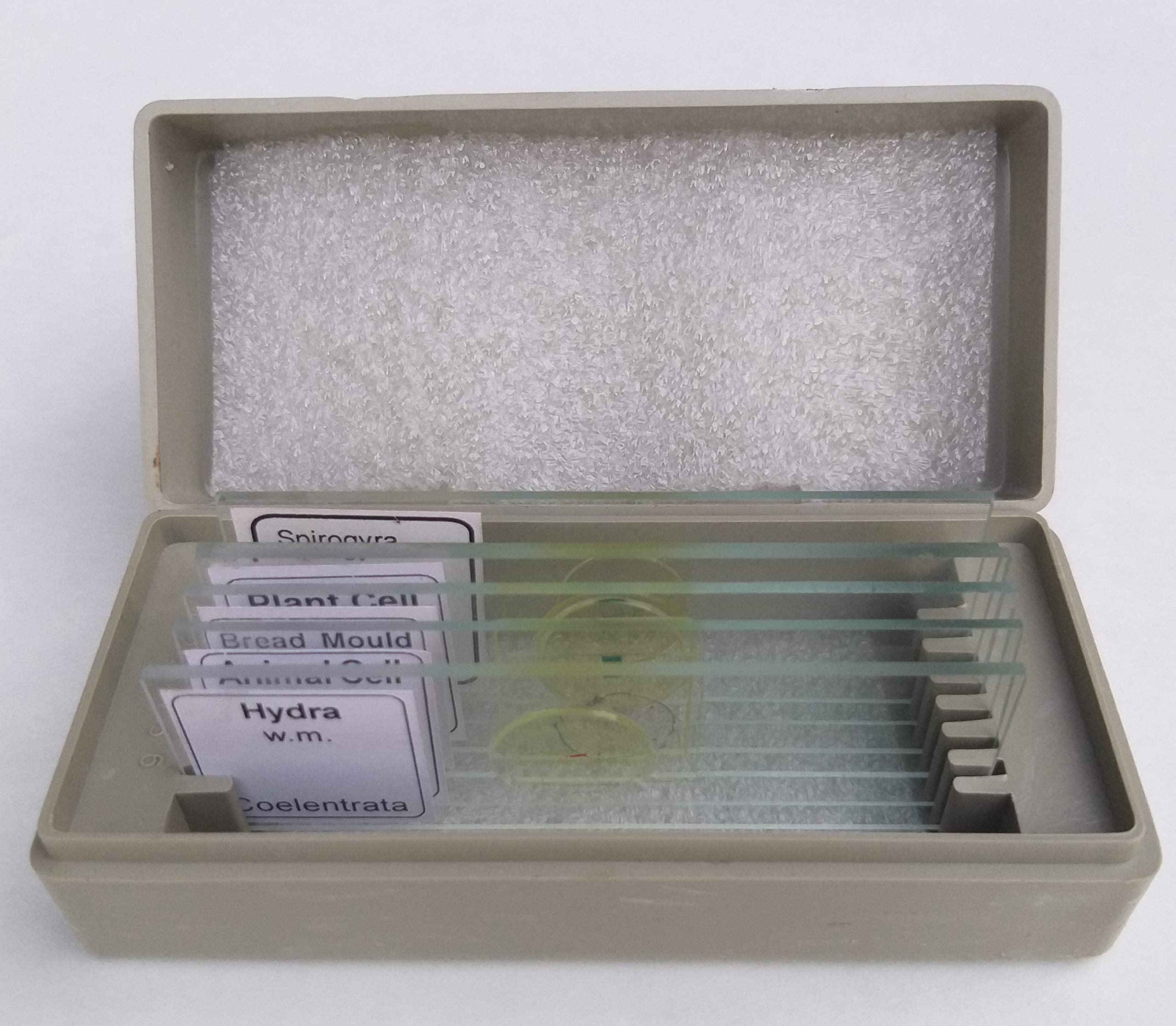 AIM Beginner's Slide Set (Set of 6)