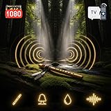 tvstreamwave
