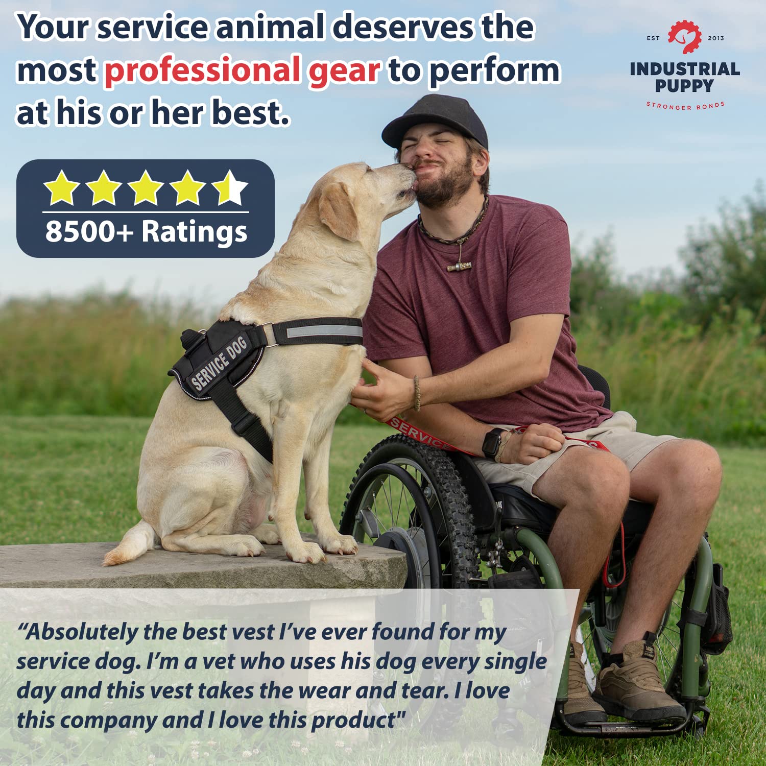 service dog gear amazon