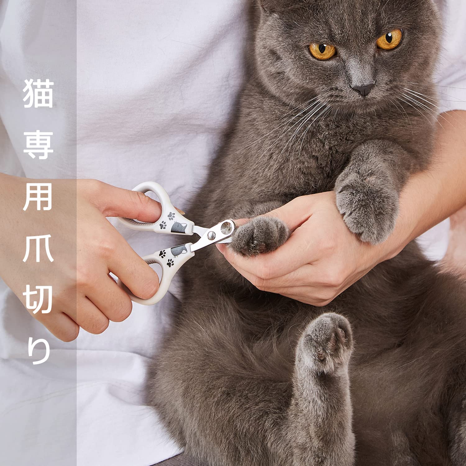 Amazon.co.jp: 【正規品】SanMori 猫 爪切り ステンレス製 歯ぐき