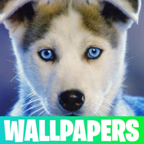 Dogs Wallpapers