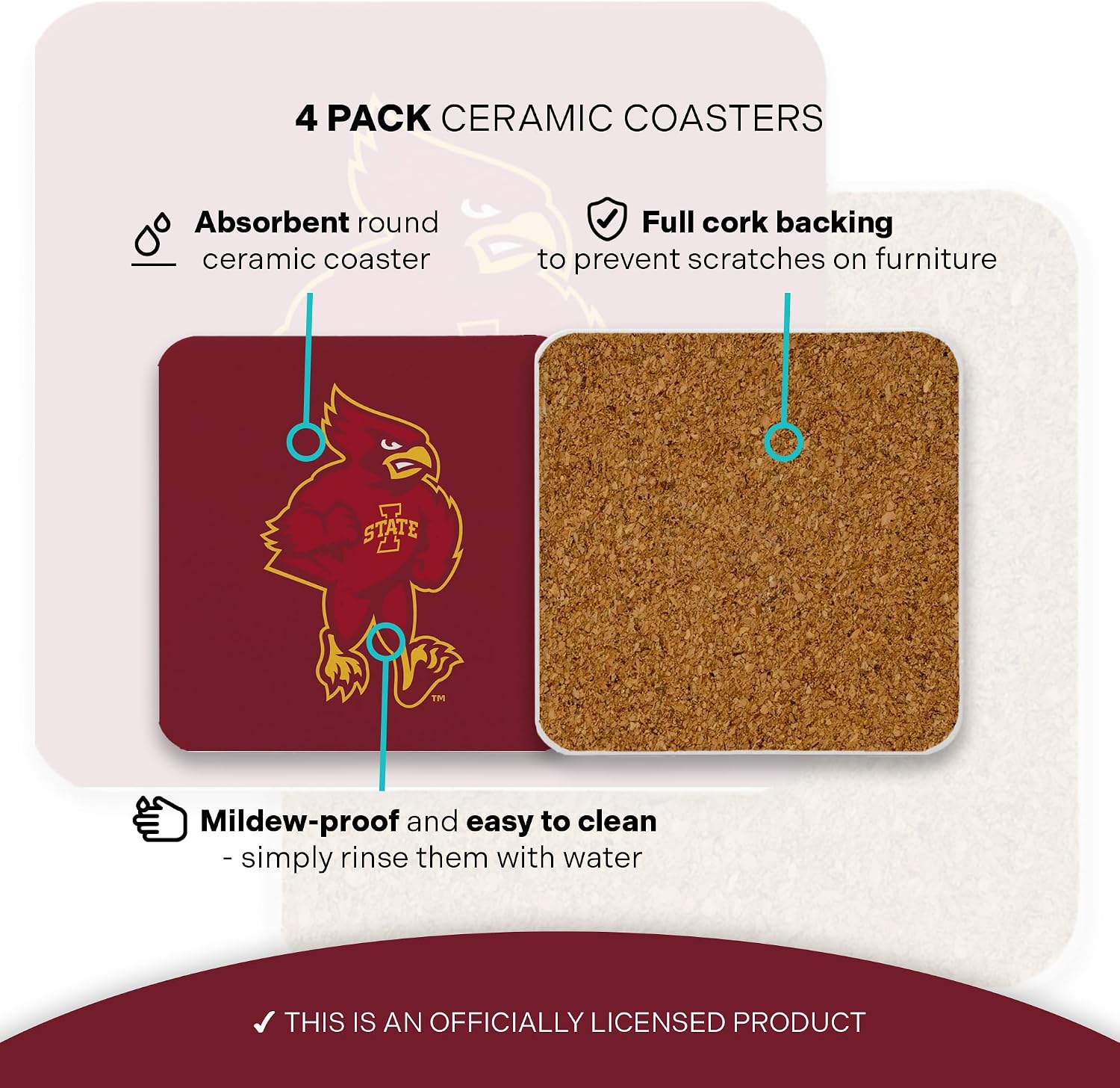 Desert Cactus Iowa State University Coaster ISU Cyclones Water Absorbent Drink Square Coasters - Made from Natural Sandstone (Square 4 Pack - D)