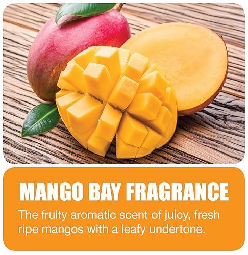 Miniatura 2 de Big D 473Metered habitación Deodorant, 7oz Aerosol Refill, mango Bay fragancia concentrado (Pack de 12)