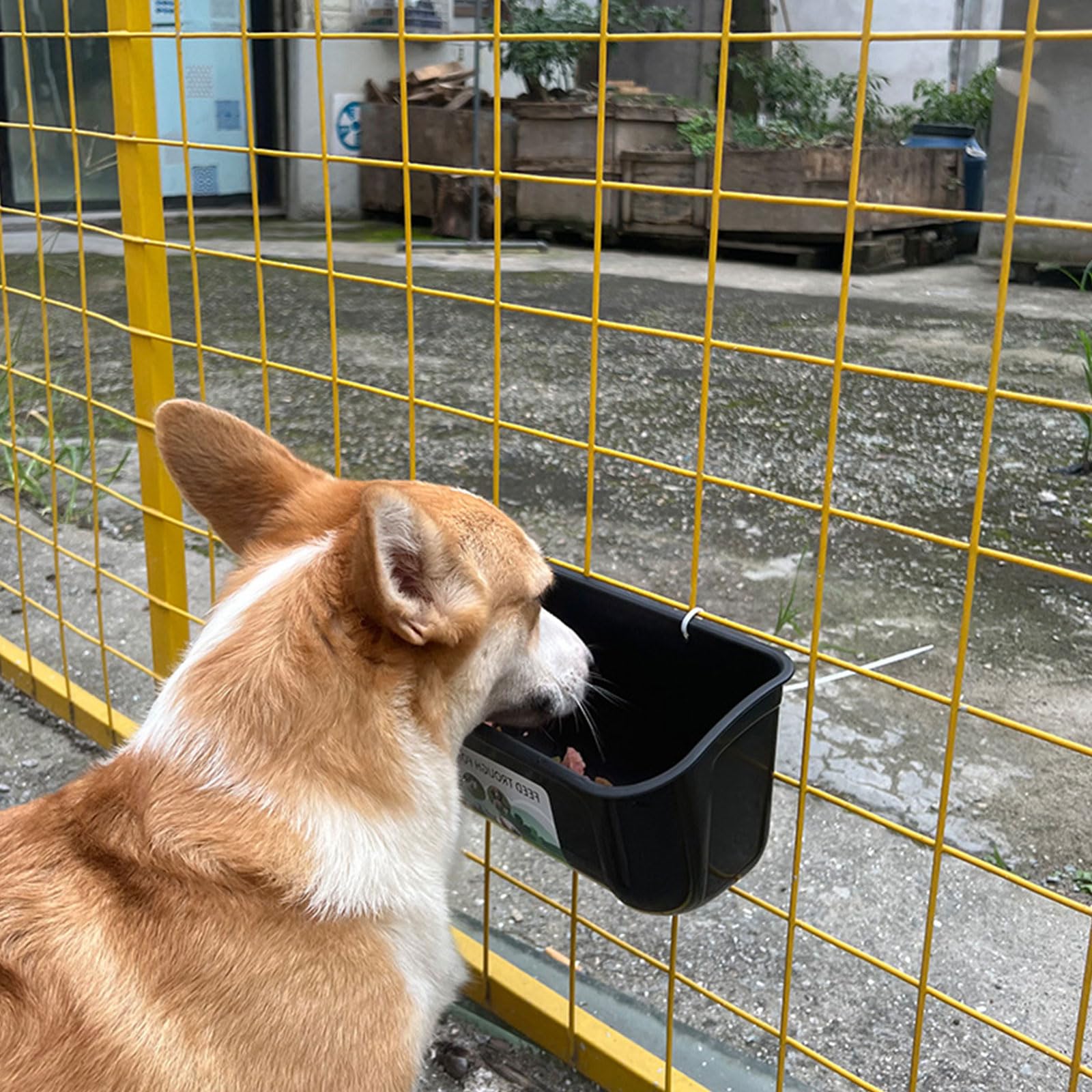 YAYODS Confezione da 6 mangiatoie e abbeveratoi per polli, mangiatoie per anatre e capre, con clip, contenitore per alimentazione per bestiame e pollame, nero