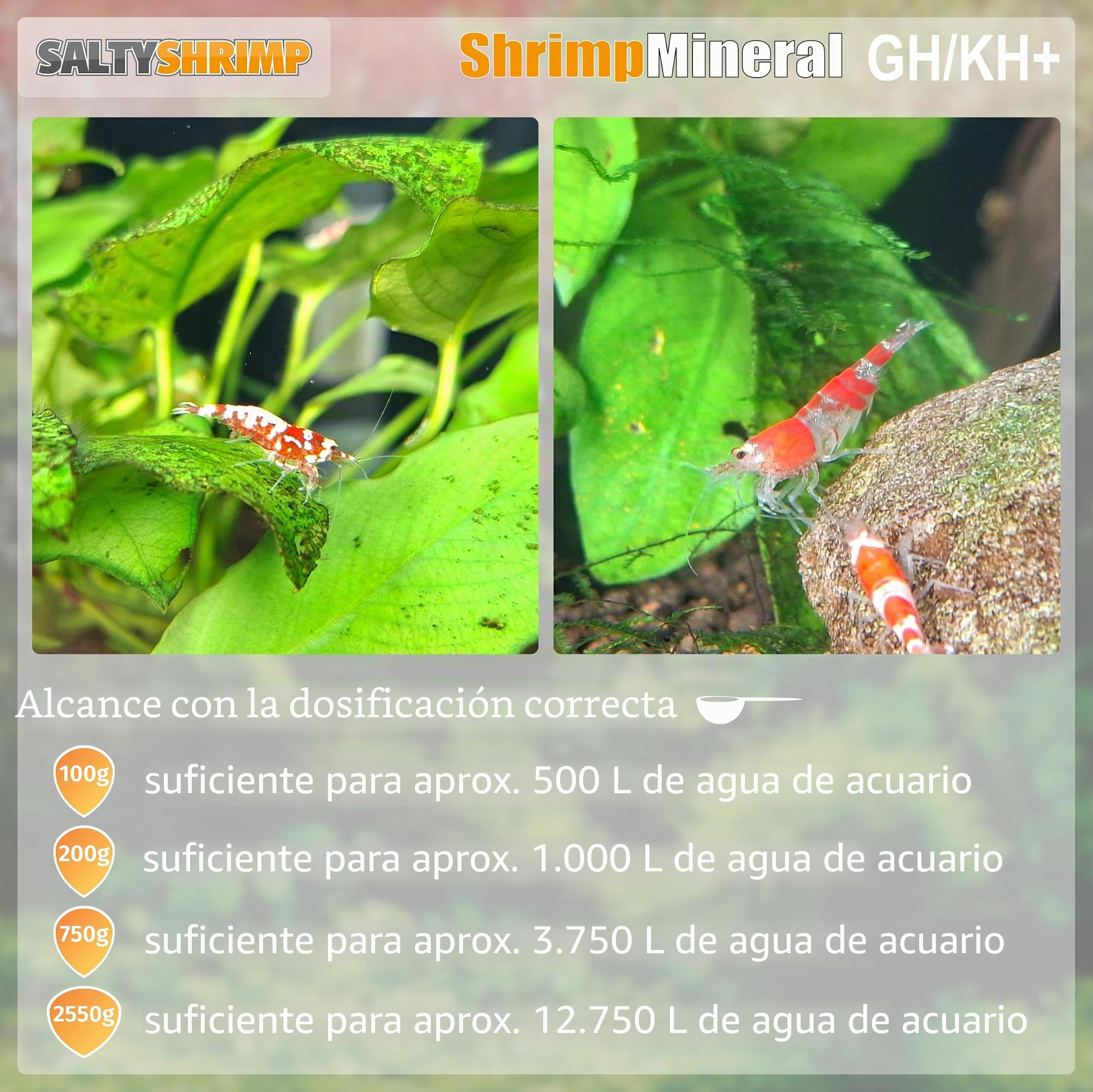 Shrimp Mineral GH/KH+ | 100g - Sal Mineral. Especialmente desarrollada para el Mantenimiento y la cría de gambas. para Agua de Acuario Neutra y remineralización