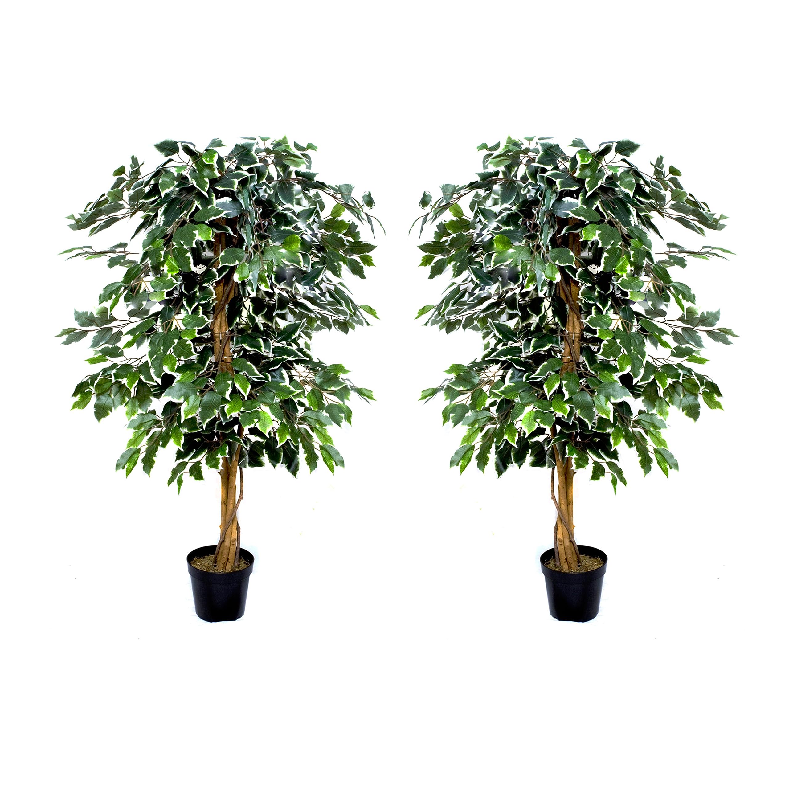 GreenBrokers 2 x Premium Artifical Variegated Ficus Tree in Black Pot for Indoor/Outdoor Decor (140cm/4ft)