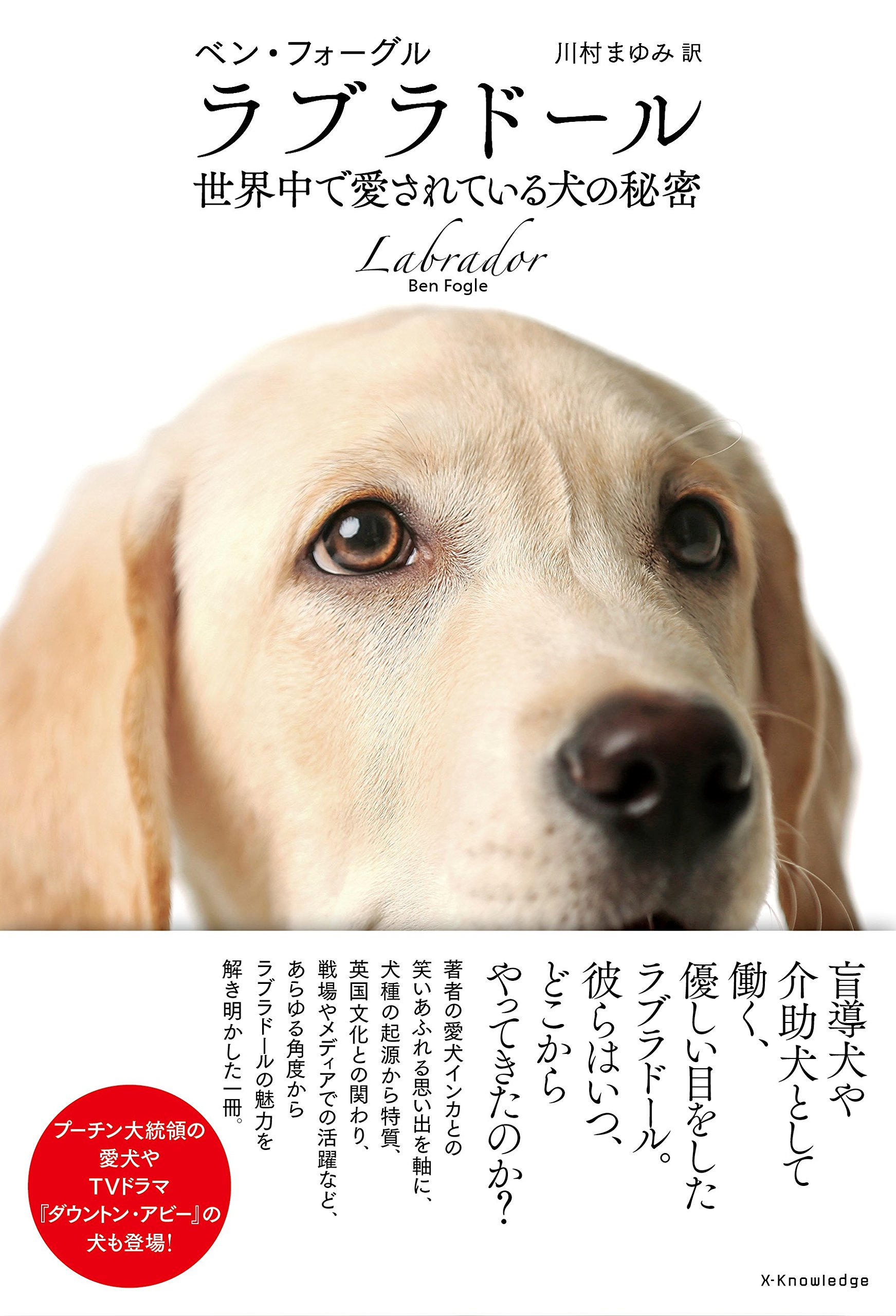 ラブラドール 世界中で愛されている犬の秘密 ベン フォーグル 川村 まゆみ 本 通販 Amazon ラブラドール 世界中で愛されている犬の秘密 ベン フォーグル 川村 まゆみ 本 通販 Amazon