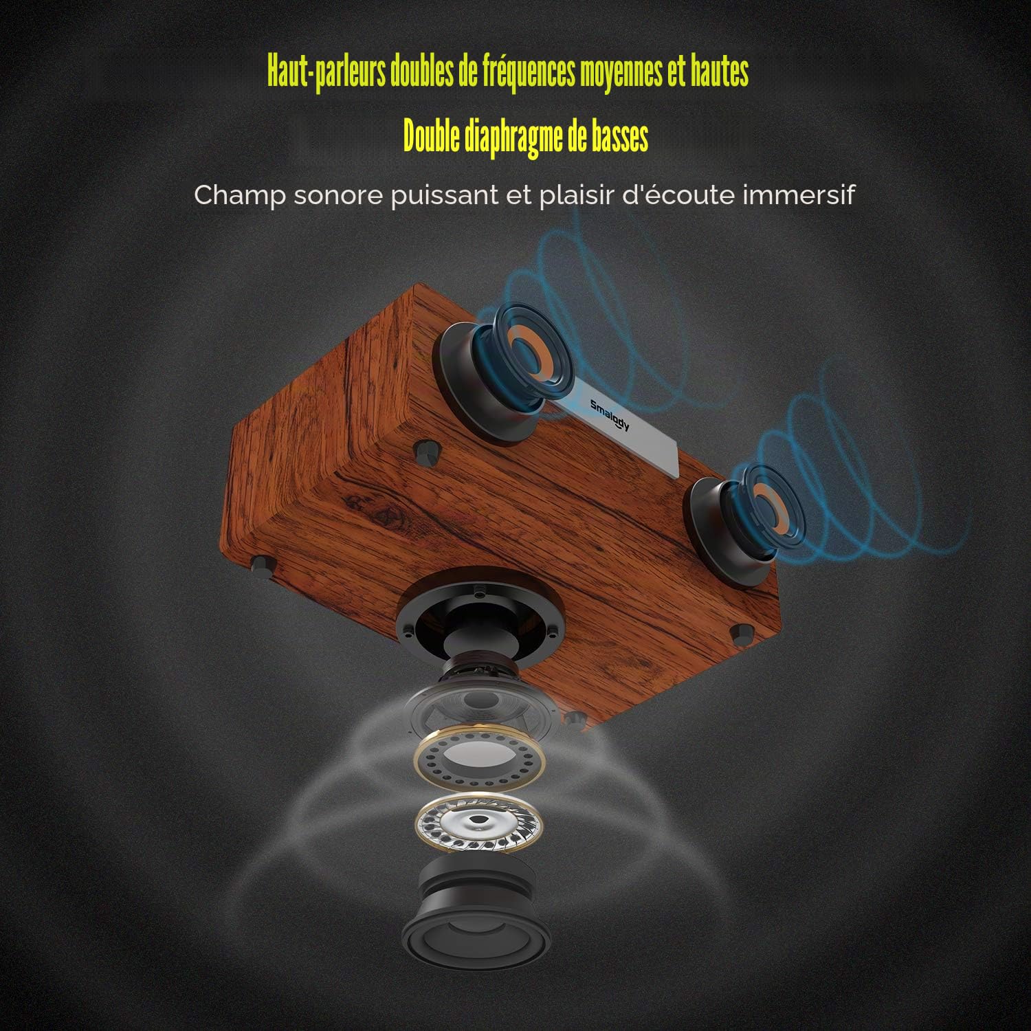 Smalody Haut-Parleur Bluetooth, Haut-parleurs Portables sans Fil en Bois