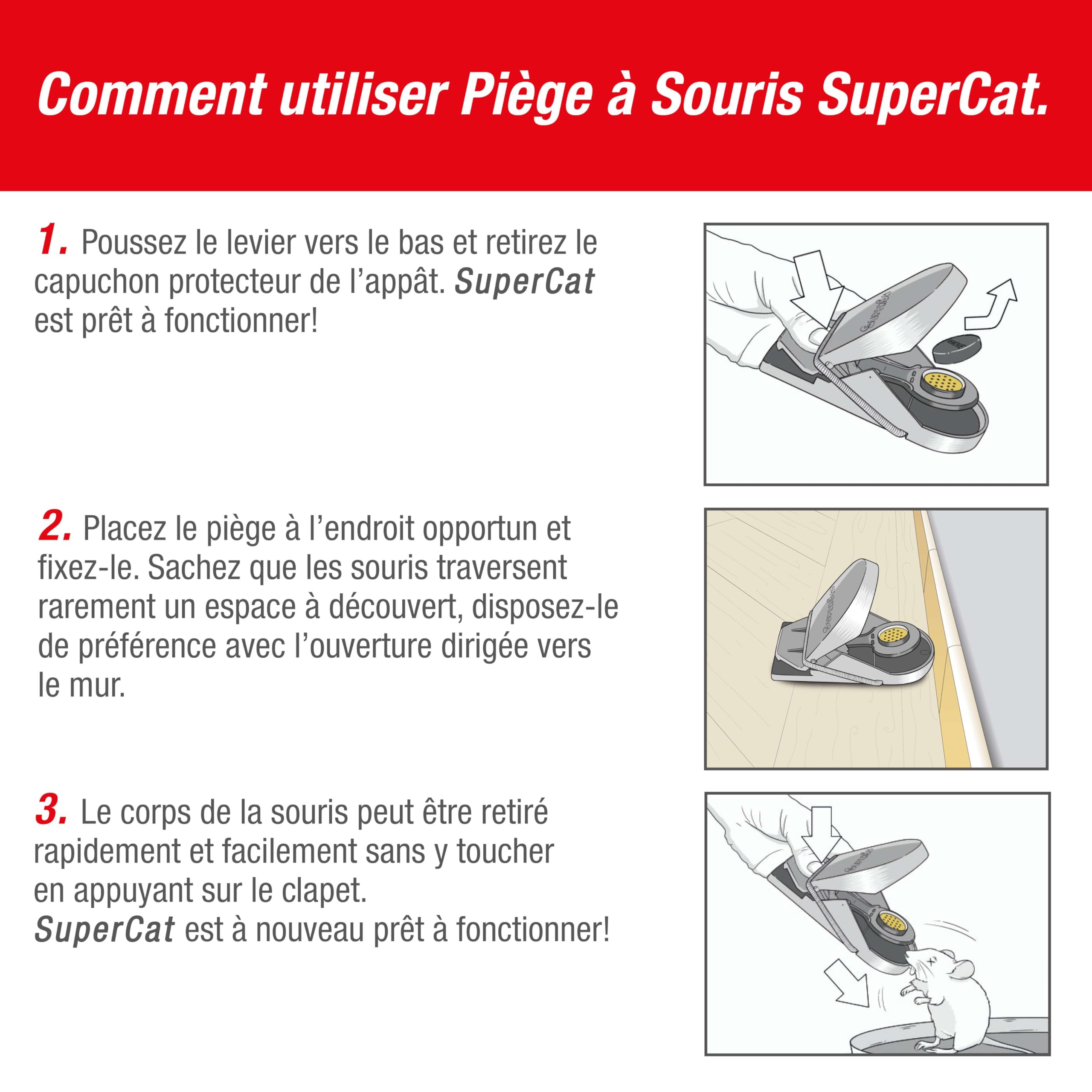 SWISSINNO Pułapka na myszy SuperCat - Skuteczna pułapka wielokrotnego użytku z przynętą masło orzechowe - Szybki chwyt - Wewnątrz i na zewnątrz - 4 sztuki