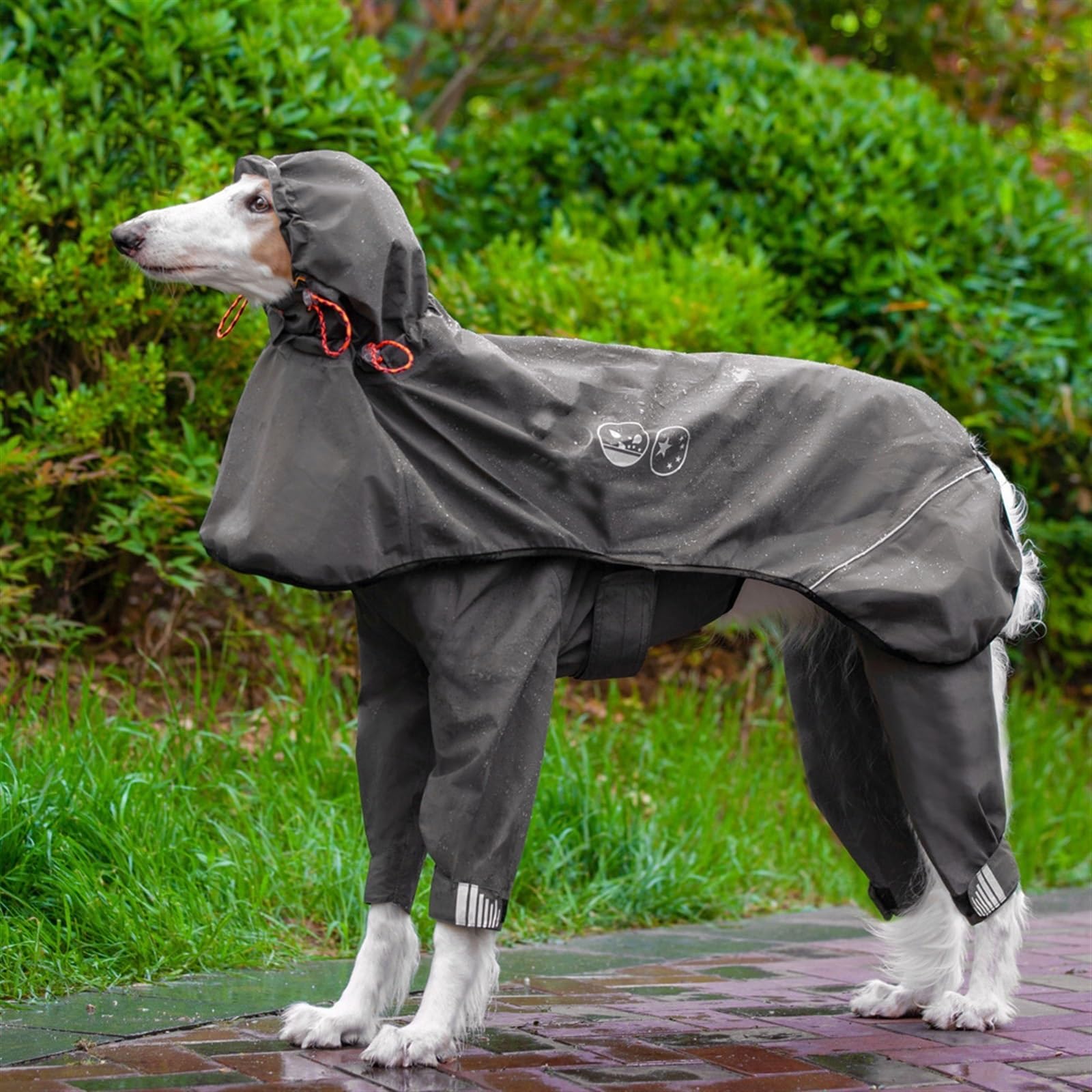 Impermeabile Cane con Cappuccio Cappotto Antipioggia Impermeabile per Cani con Cappuccio Cappotto per Cani Impermeabile per Cucciolo(Blu,XXL)