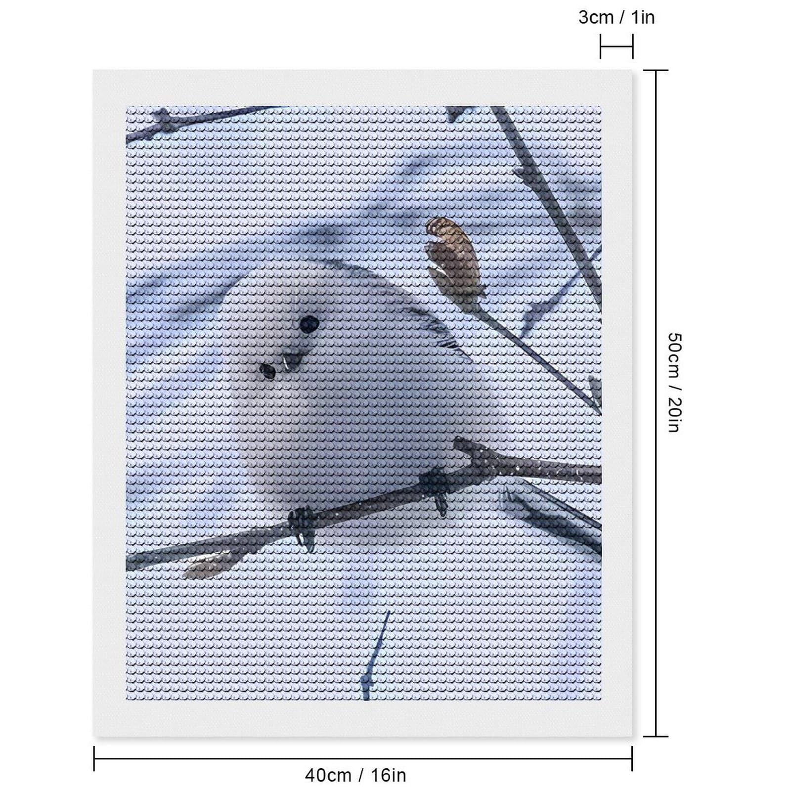 Amazon.co.jp: シマエナガ 鳥柄 ダイヤモンドアート ダイアモンド