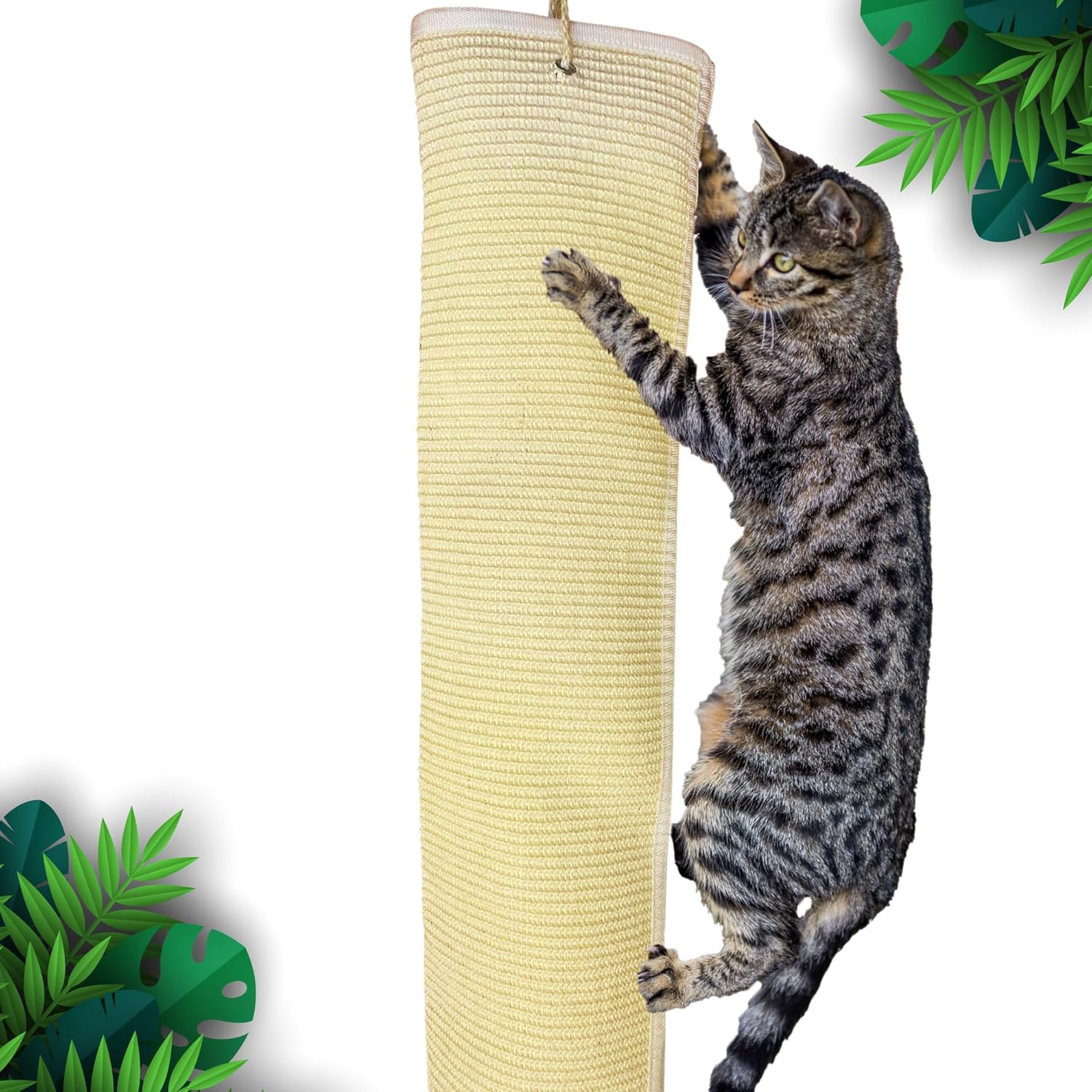 Katzen-Kletterseil Für Deckenmontage - Kratzmöbel Mit Ruhepodest Für Aktive Stubentiger