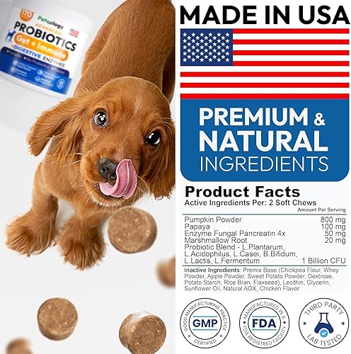 Miniatura 6 de (Paquete de 2) Probióticos para Perros - 340 Masticables Probióticos para Perros - Enzimas Digestivas y Prebióticos - Apoyan la Salud Intestinal,