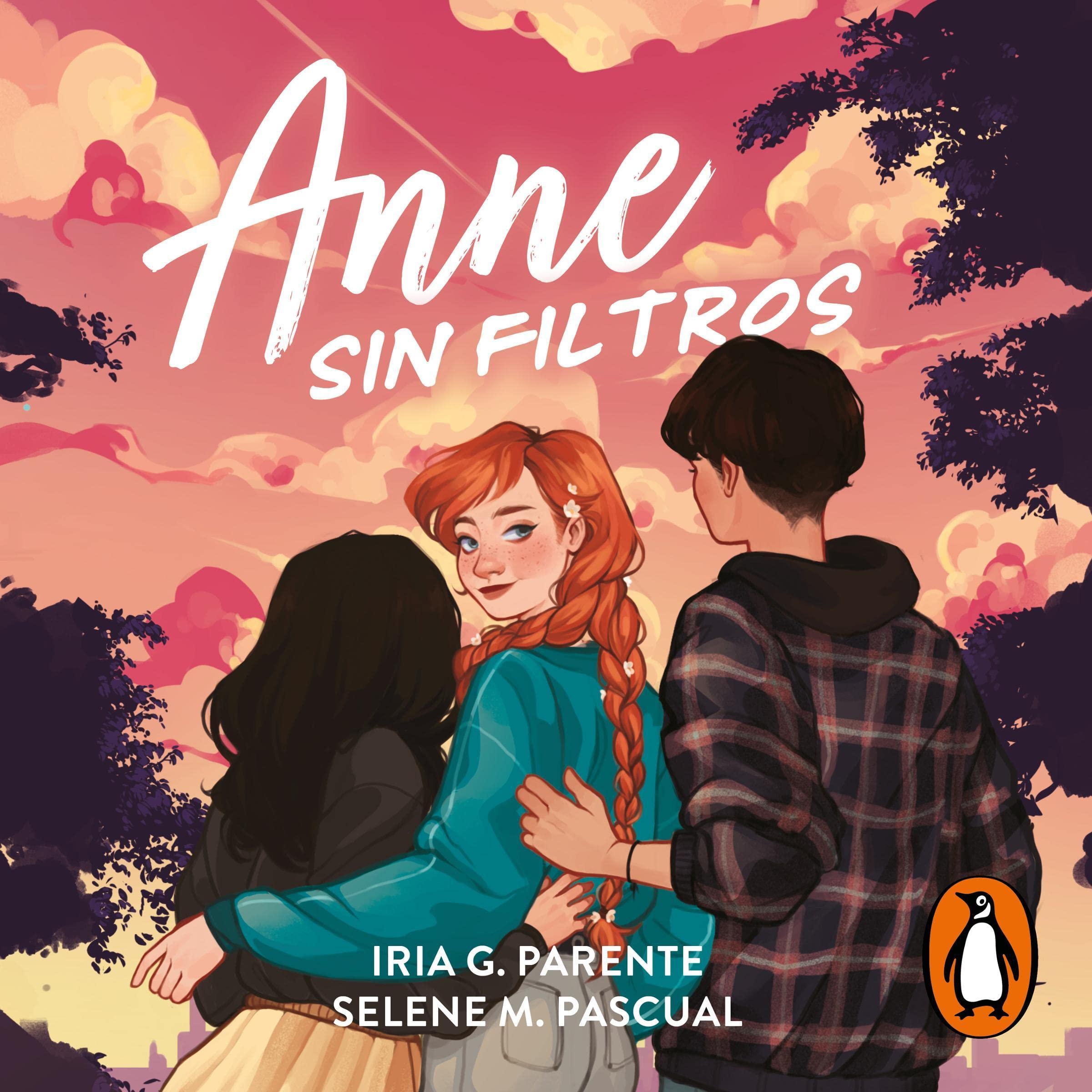 Cover art for Anne sin filtros [Anne Without Filters]