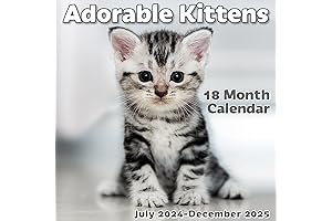 Adorable Ferret Wall Art for 2024