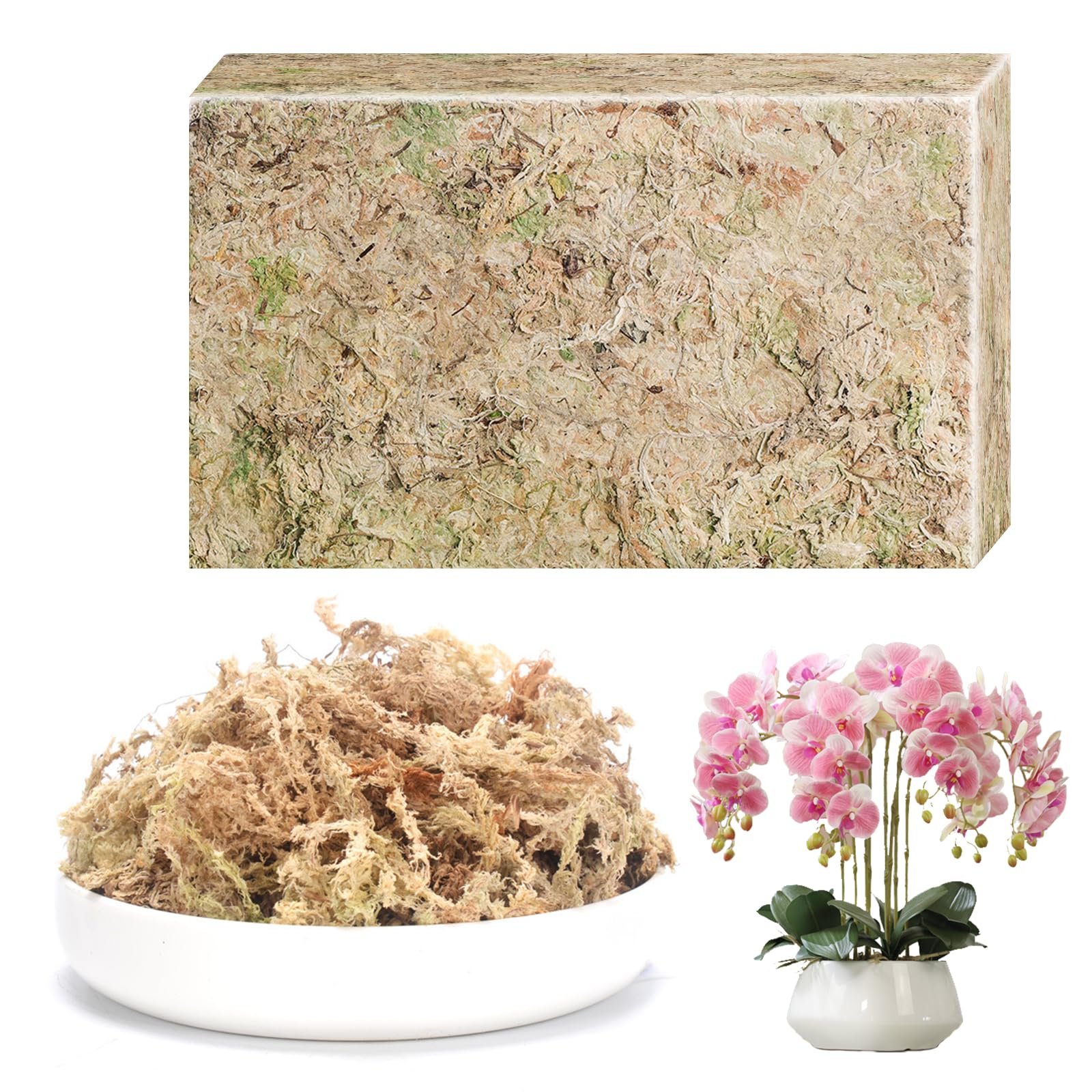 CATELL 190 g de musgo Sphagnum para plantas, terrario, tortuga y plantas de interior