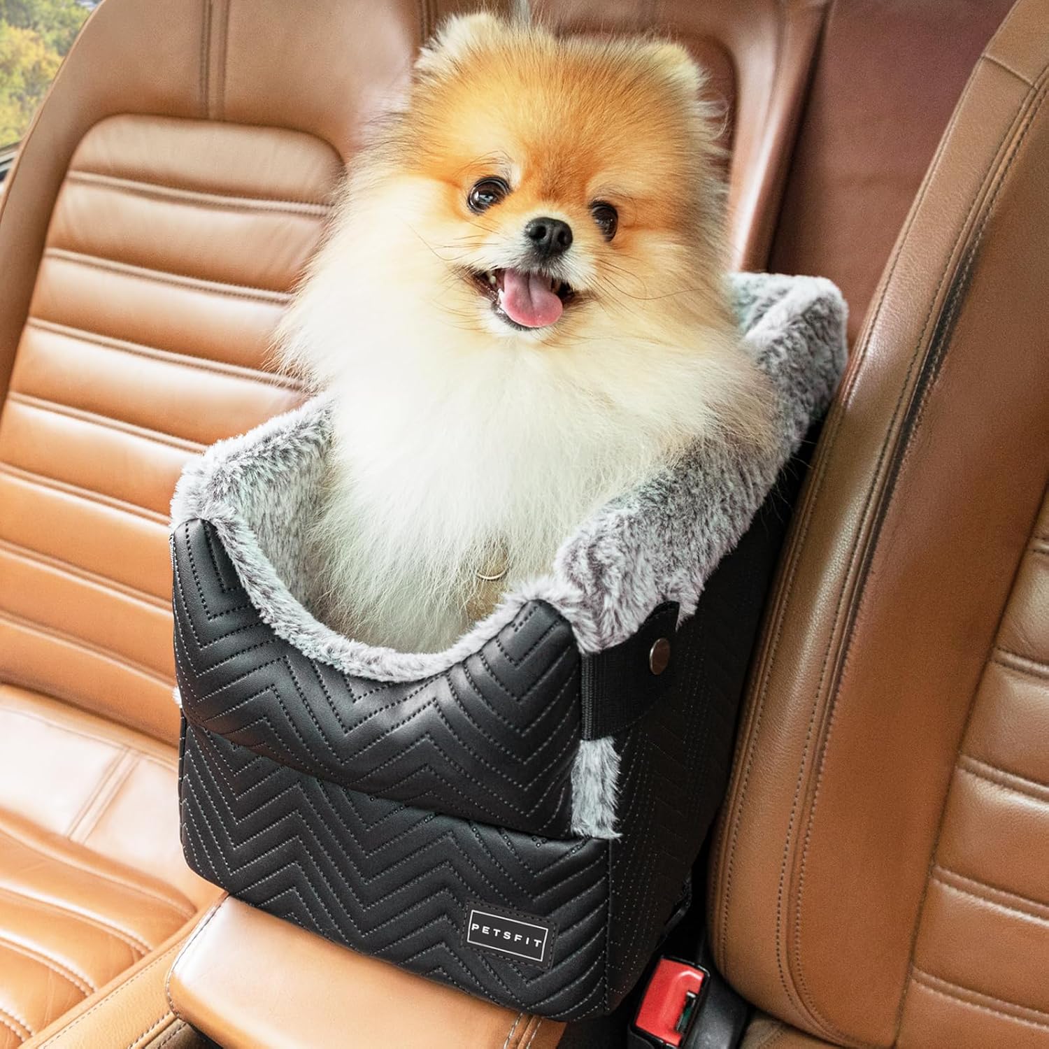 PETSFIT Console Dog Car Seat with Safety Hooks & Washable Cushion for Small Dogs PETSFIT Console Dog Car Seat with Safety Hooks & Washable Cushion for Small Dogs