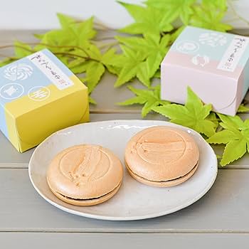 Amazon | [ 夏の贈り物 和菓子ギフト ] 不朽園 水ようかん最中 6個入