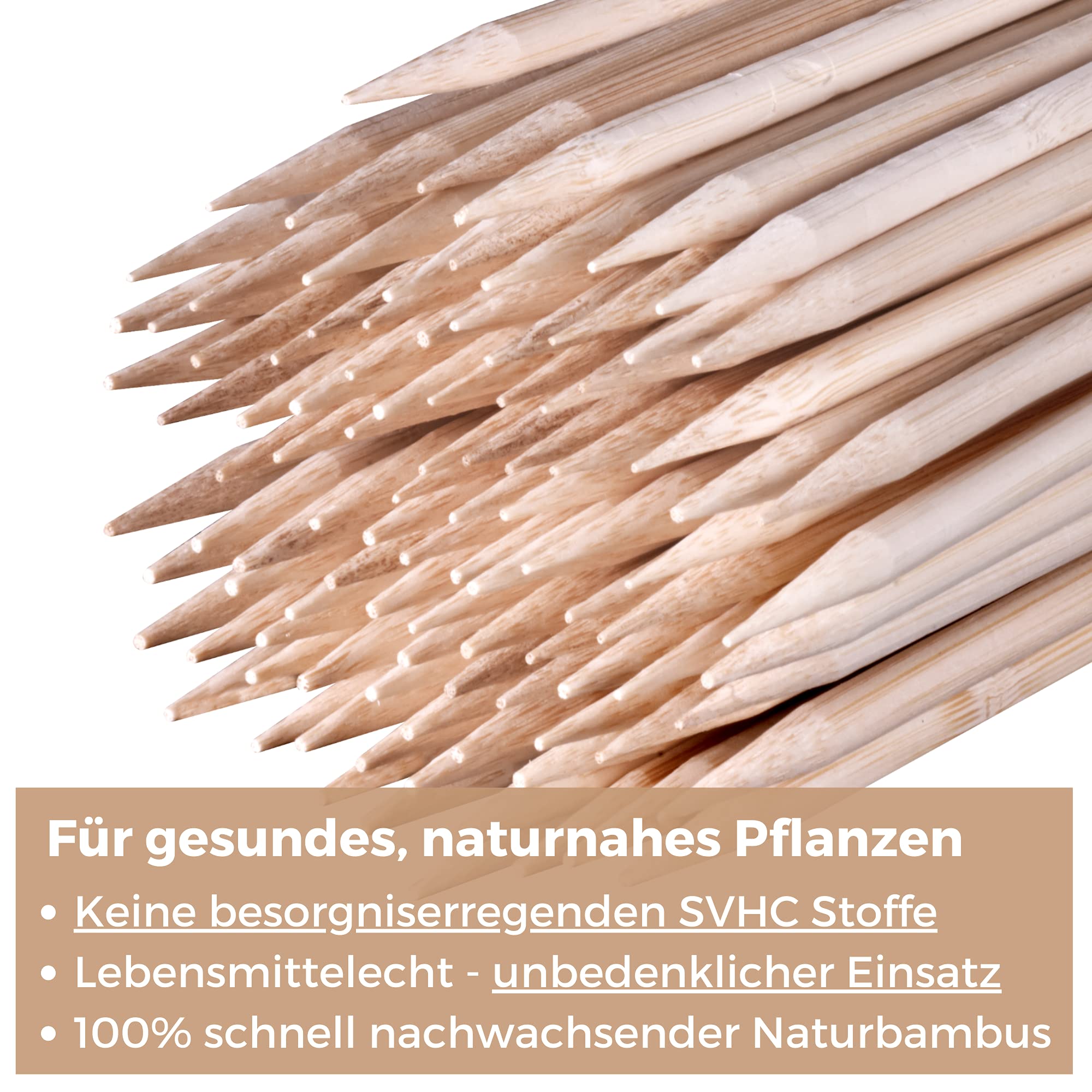 100 Pflanzstbe Bambus Holz 90 cm lang 6 mm Dm. I Rankhilfe fr Pflanzen I  Bambusstbe als Pflanzensttze und Rankstbe, Blumenstangen, Tomatenstangen  : Amazon.de: Garten