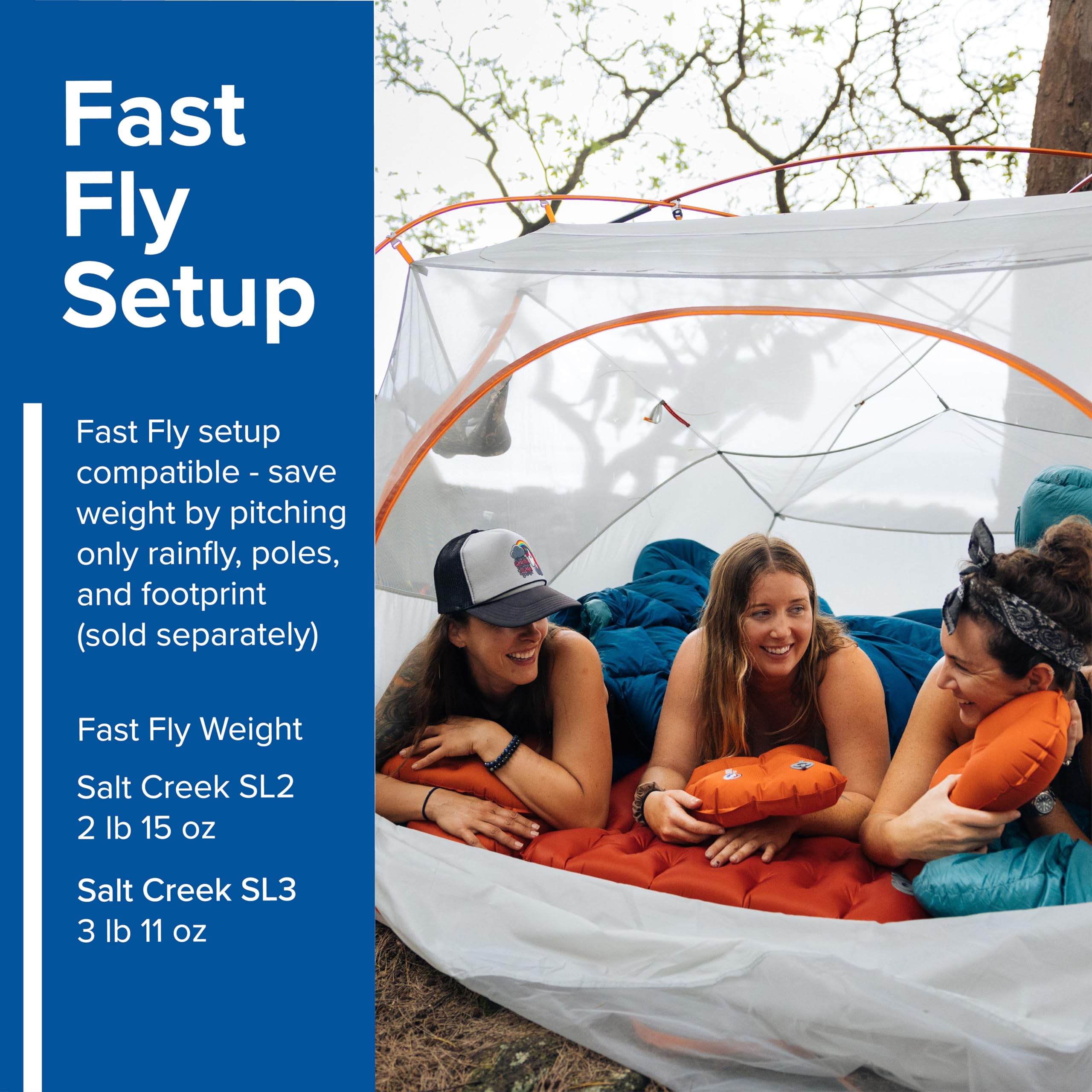 Amazon.co.jp: Big Agnes ソルトクリークテント ユニセックス