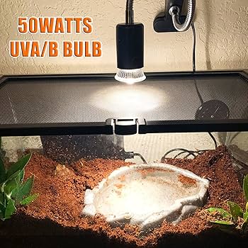 Amazon.com : Fischuel Reptile UV Bulbs, 2 Pack 50W Basking