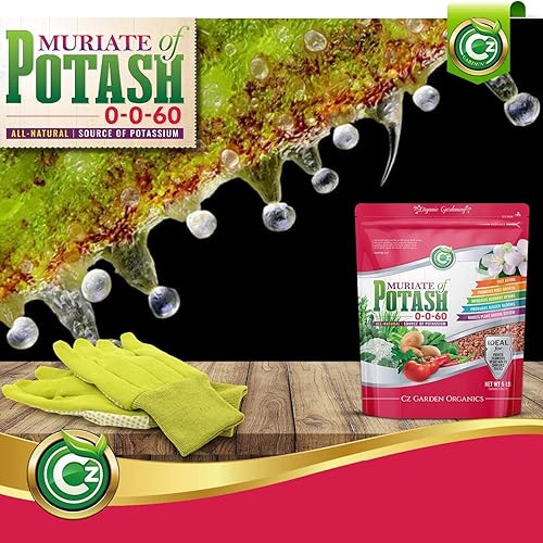 Miniatura 7 de Muriate of Potash 0-0-62 Fertilizante fabricado en Estados Unidos - MOP Potasio Plant Food para plantas de interiorexterior, jardines de flores,